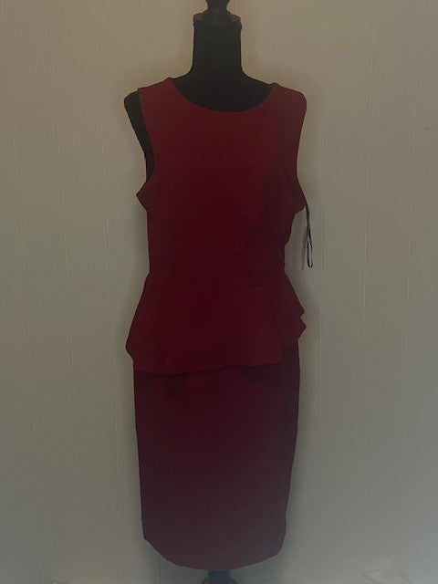 *CLEARANCE* Size 10 - NWT Donna Rico Dress