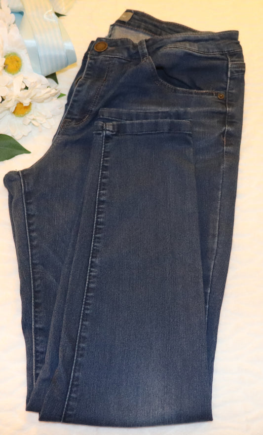 Size 14 - Wit and Wisdom skinny jeans